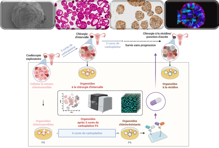 Le projet ROMEO soutenu par la Fondation 1432